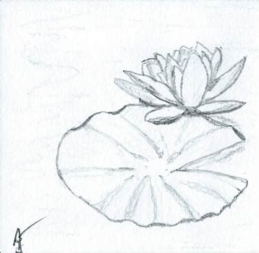 Lily Pad Drawing At Paintingvalley Com Explore Collection Of Lily Pad