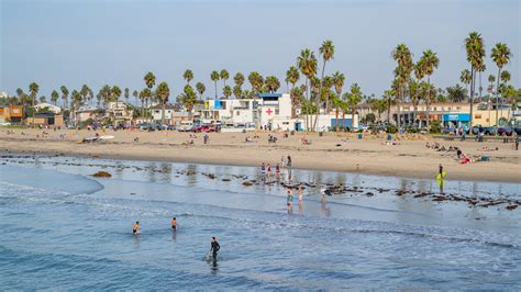 Besøk Ocean Beach Opplev Det Beste Av Ocean Beach San Diego I 2023