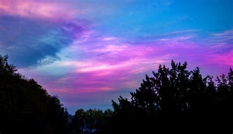 Purple And Blue Sky Free Stock Photo By Octavian On