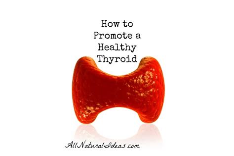 Promoting A Healthy Thyroid All Natural Ideas
