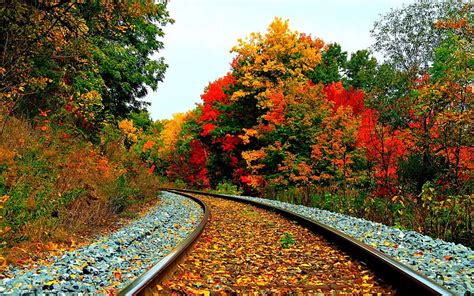 Railroad In Autumn Leaves Stones Bush Colors Trees Rails Hd