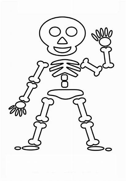Skeleton Coloring Pages Easy Drawing Friendly Simple