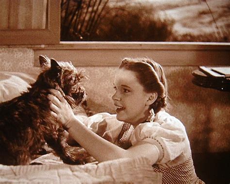Dorothy And Toto The Wizard Of Oz Photo Fanpop