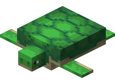 Черепаха — Minecraft Wiki