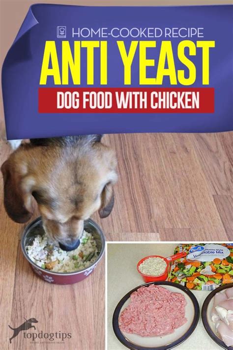 Homemade Anti Yeast Dog Food Recipe With Chicken