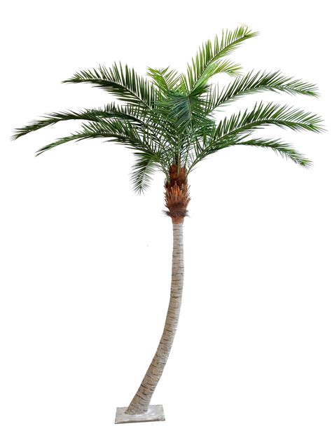Bespoke Artificial Palm Trees Design Example In 2023 Artificial