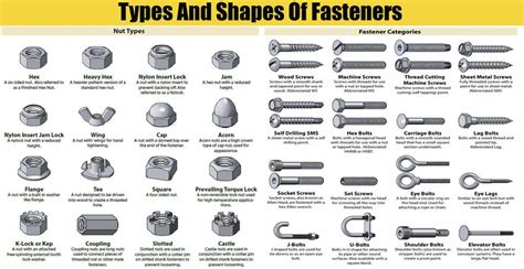 Types And Shapes Of Fasteners Nuts Screw Head And Washers