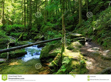 Gertelbach Waterfalls Black Forest Germany Stock Image Image Of