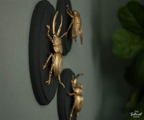 Diy Gilded Insect Faux Taxidermy The Gathered Home Goth Decor Diy
