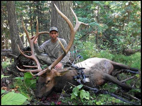 Munhunt Washington State Elk Hunting Forum