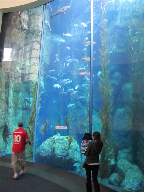 Long Beach Aquarium Of The Pacific