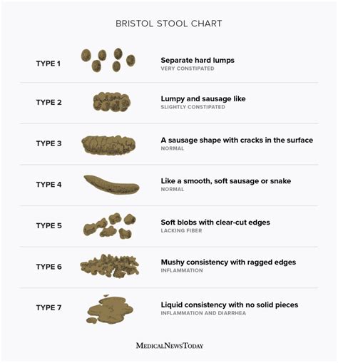 Bristol Stool Scale Stool Types And What They Mean