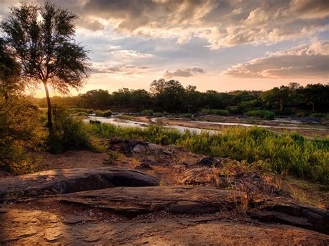 Your Guide To Visiting Kruger National Park