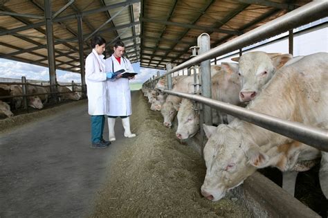 Eaap Promoting Animal Health And Welfare Via Pathogens Control