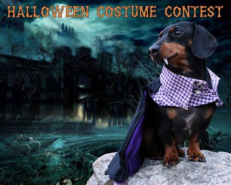 The Halloween Costume Contest Halloween Costume Contest Crusoe The