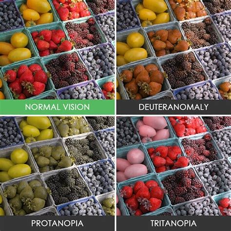 These Photos Show What It Looks Like To Be Colorblind Freeyork