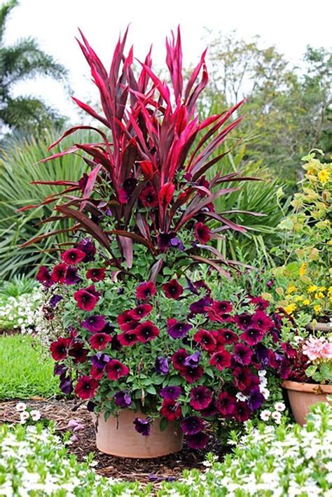 10 Outdoor Plant Pot Ideas To Brighten Up Your Garden