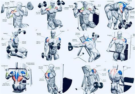 Weight Exercise Routines These Are Some Of The Best Chest Exercises To