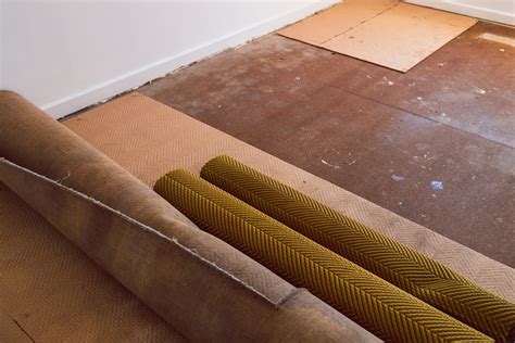 How To Fix Squeaky Floorboards Under Carpet In The UK House Junkie