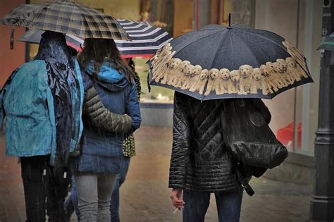 Umbrella Rain Wet Street City Rainy Day Water The Person Man