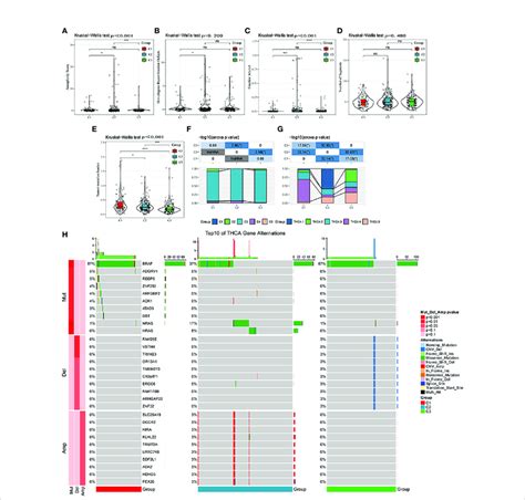 Mutational Features Of Different Molecular Subtypes A E Comparison