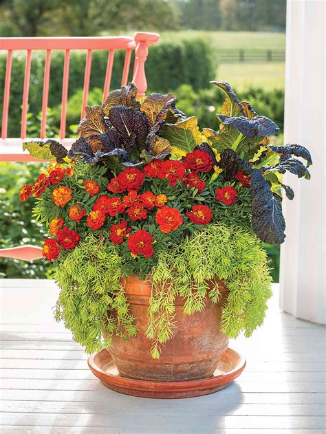 27 Fall Flowers For A Gorgeous Autumn Garden Southern Living