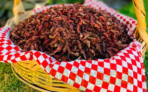 Chapulines Prehispana