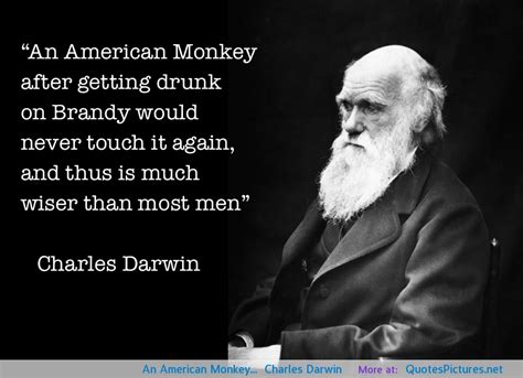 In the year 2035, convict james cole reluctantly volunteers to be sent back in time to discover the origin of a deadly virus that wiped out nearly all of the earth's population and forced the survivors into underground communities. Monkey Quotes. QuotesGram