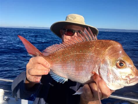 Deepsea Fishing Charter Cronulla Sydney Sydney Premium Charters