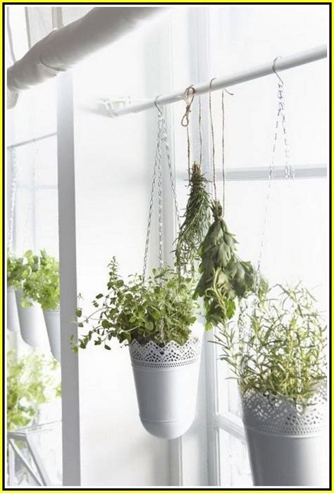 Fabulous Rod To Hang Plants Pothos Trailing Plant