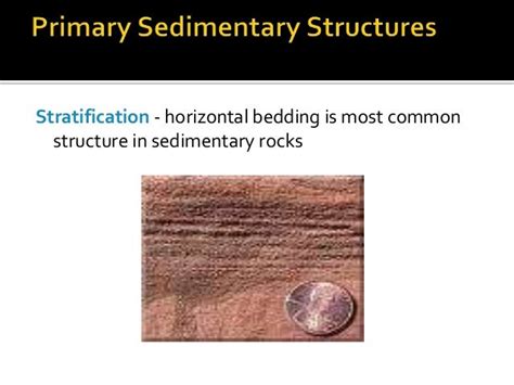 Primary Sedimentary Structures