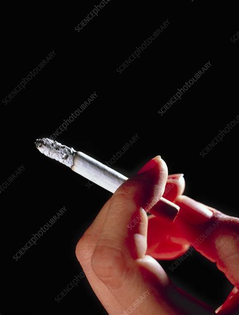 smoking hand holding cigarette stock image m370 0123 science photo library