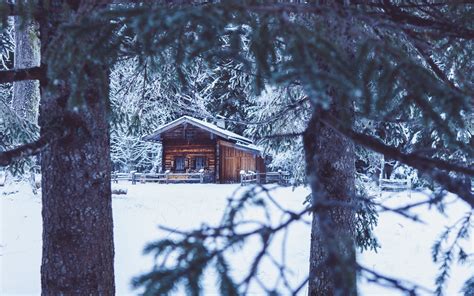 Download Wallpaper 3840x2400 House Hut Trees Winter Snow 4k Ultra