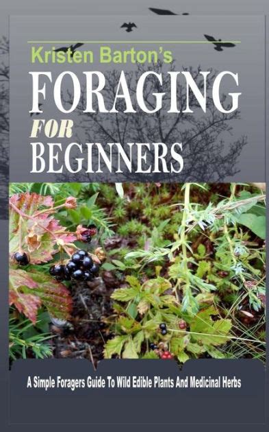 Foraging For Beginners A Simple Foragers Guide To Wild Edible Plants