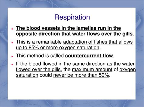 Ppt Chapter 16 Notes Fish Powerpoint Presentation Free Download
