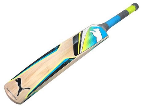 A Beginners Guide To Buying The Right Cricket Bat