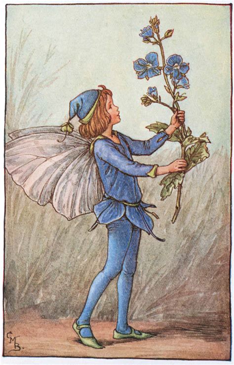 The Speedwell Fairy Flower Fairies