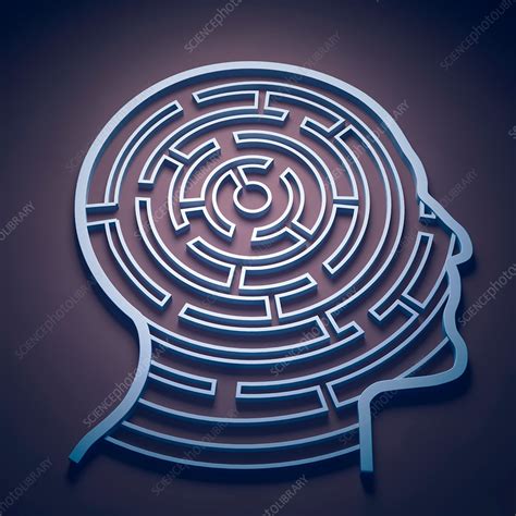 Human Head In Shape Of Maze Illustration Stock Image F0143905
