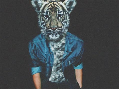 animal head on Tumblr