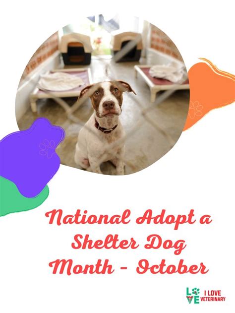 National Adopt A Shelter Dog Month October I Love Veterinary Blog