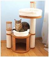 Upscale Cat Beds Pictures