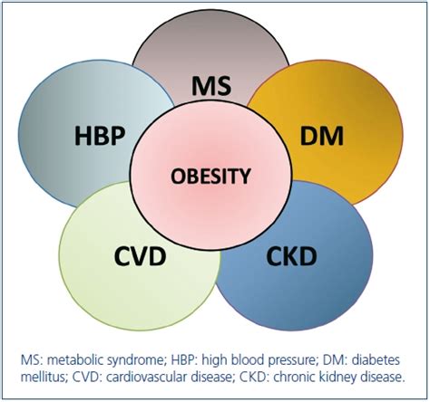 Overweight or obesity (body mass index >25) has been associated with an increased risk of recurrence and death from. Obesidad y enfermedad renal crónica