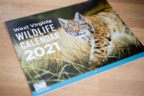Office Of Marketing And Communications Wildlife Calendar 2021 038a5578