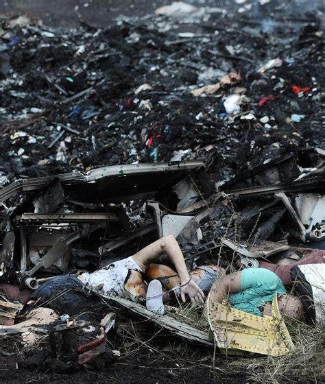 ウクライナでマレーシア航空機撃墜か、295人全員死亡の情報 写真20枚 国際ニュース：afpbb News