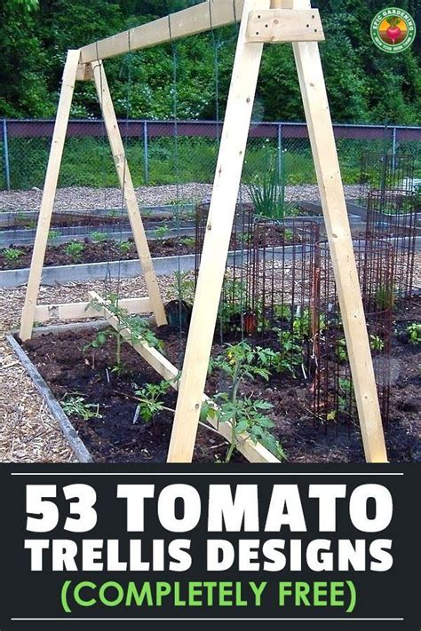 How To Build A Trellis For Tomatoes Builders Villa