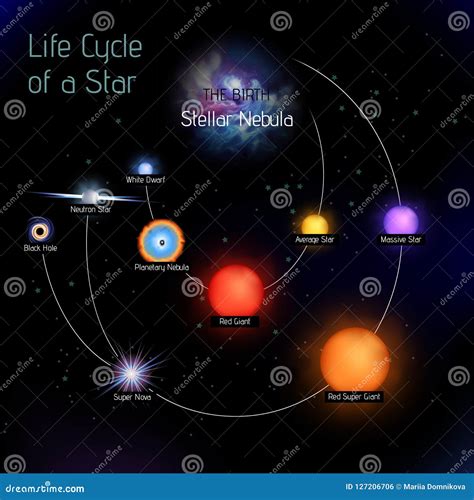 Life Cycle Of Our Sun