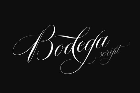 Though not an actual italian letterform, this style was called italian alphabet stemming from an old penman's term for an. Bodega Script Font - Weblord