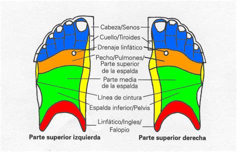 Spanish Chart Top Of Foot Footc1 Flickr