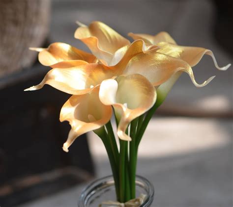 Light Gold Calla Lilies Real Touch Flowers Diy Wedding Etsy