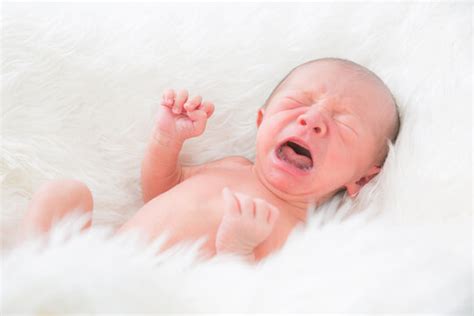 「生まれたての赤ちゃん」の写真素材 1 616件の無料イラスト画像 Adobe Stock